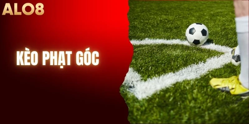 Kèo Phạt Góc - Học Hỏi Mẹo Giành Chiến Thắng Tại ALO8