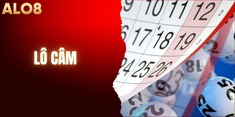 Lô Câm - Tìm Hiểu Khái Niệm Cược Lô Đề Cho Người Mới 