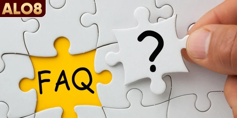 Nền tảng hỗ trợ người dùng như thế nào khi gặp vấn đề?