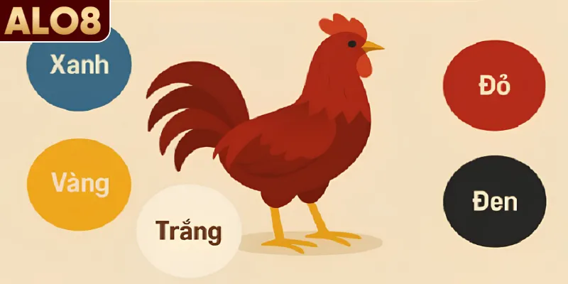 Màu Mạng Gà Đá – Bí Kíp Chọn Giờ Xuất Trận Thắng Lớn 2 Tìm hiểu nhanh về màu mạng gà đá